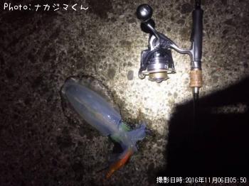 �����ꥤ��