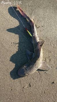 ���ᡢ�ե�