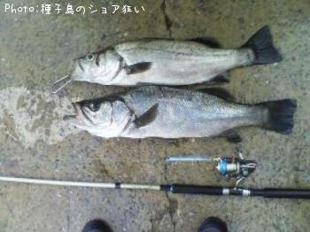 �ҥ饹����