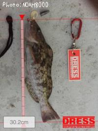 �����ʥ�