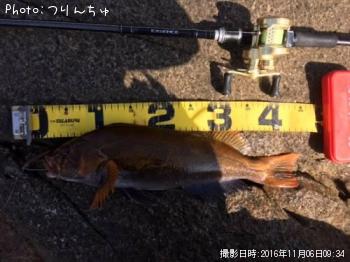 �����ʥ�