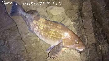 �����ʥ�