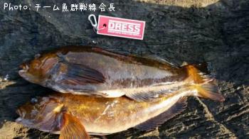 �����ʥ�