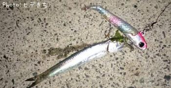 �ͥ��ʥ����������亮��