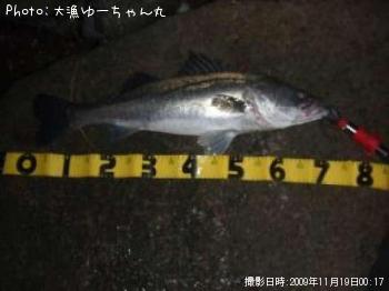 �����Х�