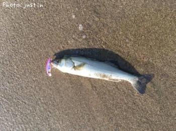 �����Х�