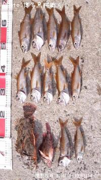 ���˥������������������