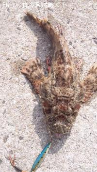 ���˥������������������