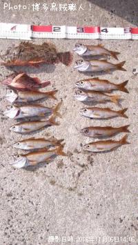 ���˥������������������