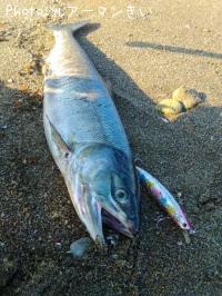 ºú¡Ê¥á¥¹¡Ë