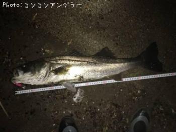 �����Х�