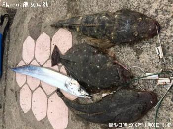 �����������ҥ����ޥ���