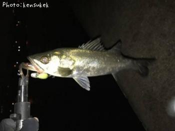 �����Х�