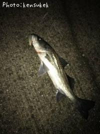 �����Х�