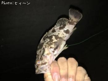 �����Υ�