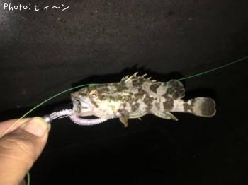 �����Υ�