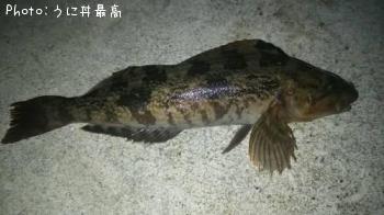 �����ʥ�