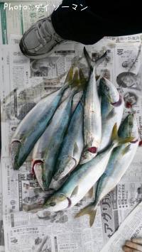 �ե��饲��������