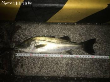 �����Х�