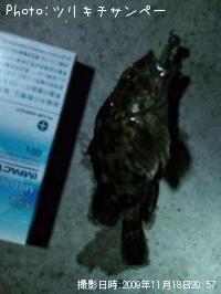 �����Υ���Х�