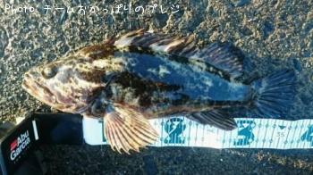 �����Υ���Х�