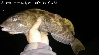 �����ʥ�