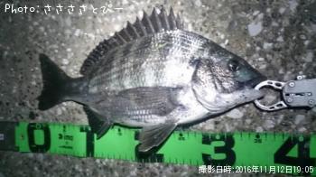 ������������������Х�