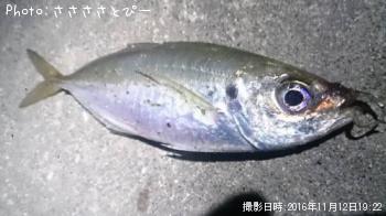 ������������������Х�