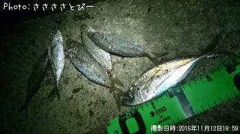 ������������������Х�