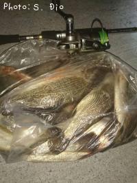 �������