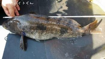 �����ʥ�