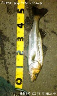 �����Х�