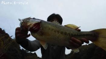 �֥�å��Х�