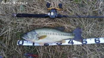 �֥�å��Х�