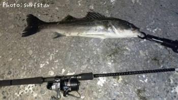 �����Х�