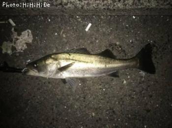 �����Х�