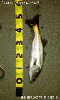 �����Х�