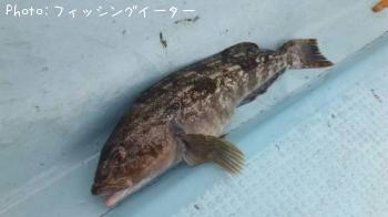 �����ʥ�