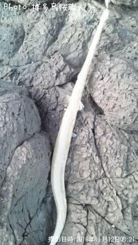 �����䥬��