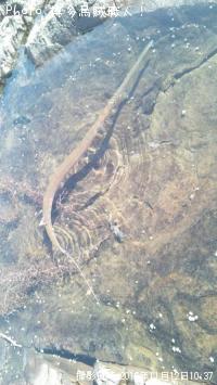 �����䥬��