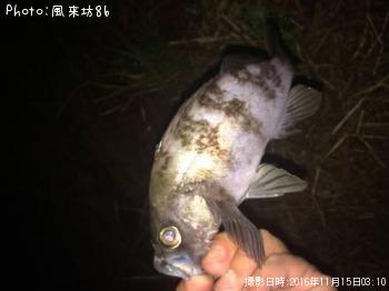 ���פ���Х�