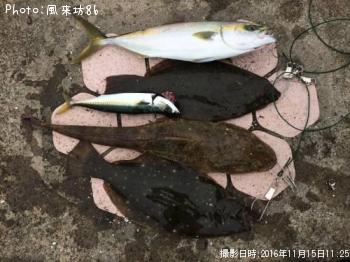 �ޥ������ҥ������ʥ�