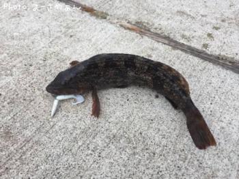 �����ʥ�