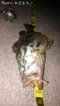 �٥å�������