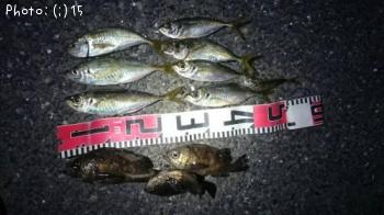 ��������Х�