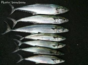 �����ݥ�����