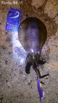 �����ꥤ��