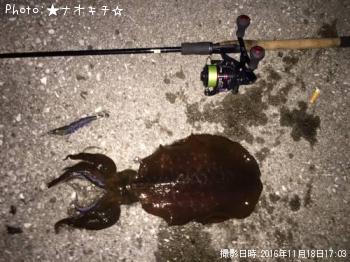 �����ꥤ��