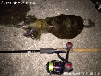 �����ꥤ��