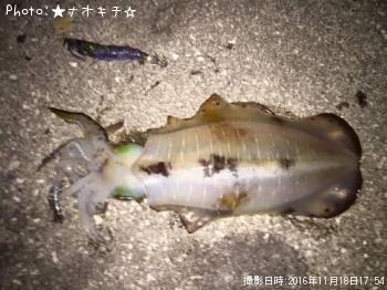 �����ꥤ��